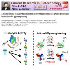 A Markov Model Of Glycosylation Elucidates Isozyme Specificity And Glycosyltransferase Interactions For Glycoengineering International Natural Product Science Markov Model Science Articles Interactive