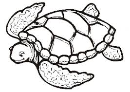 Ilustrasi jual ayo mewarnai 3d bawah laut buku mewarnai keren. Detail Gambar Halaman Mewarna Kura Kura Percuma Untuk Kanak Kanak Haiwan O