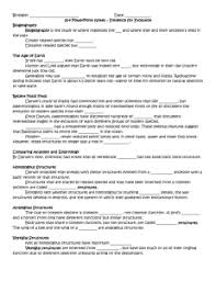 Answer this evolution review worksheet for practice. Evidence For Evolution