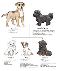 Family Tree By Https Www Deviantart Com Lopoddity On Deviantart Chihuahua Terrier Art Family Tree
