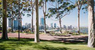 These are all the rules that begin tonight. Perth Lockdown And Wa Border Restrictions Update Ideas