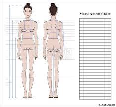 Woman Body Measurement Chart Scheme For Measurement Human