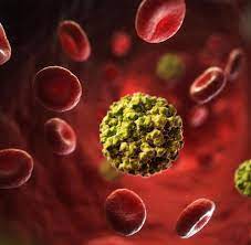 Norovirus is a very contagious foodborne virus that causes vomiting and diarrhea. Norovirus Infiziert So Viele Menschen Wie Nie Zuvor Welt