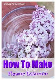 How To Make Flower Essences Organic Palace Queen Flower Essences Flower Essences Remedies Flower Remedy