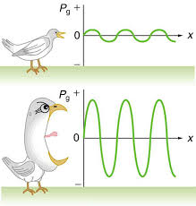 Resultado de imagen de pitch tone and intensity