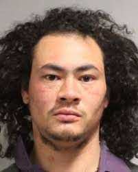 VPD arrest suspects wanted for violent sexual assault and kidnapping