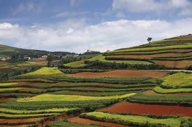 9 Examples Of Terrace Farming Around The World Tour Around The World Hillside Farming Farm