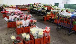 She died on july 28, 1984 in woodland hills, los angeles, california, usa. Dwf Denver Wholesale Florist 4800 Dahlia St Denver Co 80216 Usa