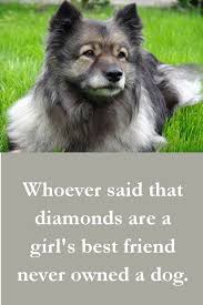 Diamonds are a girl's best friend? 27 Beautiful Dog Quotes Some Touching Some Poignant Some Funny