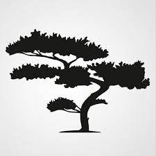 Pin By Coquillette Lung On Adobe Silhouette Art Tree Stencil Tree Silhouette