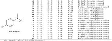 Image result for Viscum combreticola