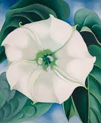 Georgia o'keeffe was an american artist born in wisconsin in 1887. Georgia O Keeffe Biography Paintings Art Flowers Facts Britannica