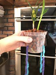 Maybe you would like to learn more about one of these? Another Picture Of My Self Watering Diy For Those Who Were Interested The String Is Fed Through One Slot To The Opposite Side Used 2 Strings And They Make An X Inside