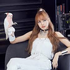 Having joined yg entertainment as a trainee in 2011, she went on to train for around 5 years, until blackpink… How Much Is Lisa Manoban Worth