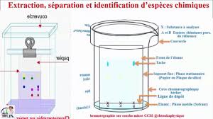 Ch 2 Chromatographie Sur Couche Mince Ccm Patie 4 Cours Tc Biof Bar Chart Science