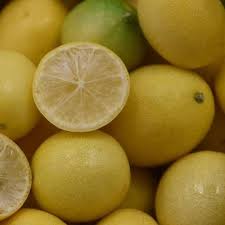 Image result for Limeum aethiopicum