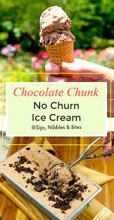 Chocolate Chunk No Churn Ice Cream Sips Nibbles Bites Recipe Sorbet Recipes No Churn Ice Cream Frozen Dessert Recipe