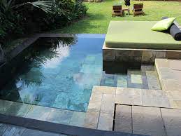 Plunge Pool Small Backyard Pools Small Pool Design Backyard Pool
