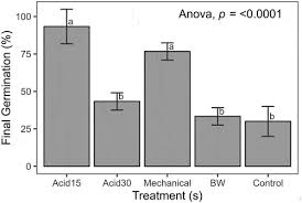 Image result for Myrianthus holstii