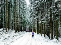 Precipitații mixte în timpul zilei. Traseu Moieciu De Sus Poiana Andolia Pe Timp De IarnÄƒ Blogul Meu De CÄƒlÄƒtor