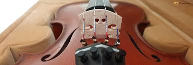 Il s'agit le plus souvent de violons, mais aussi de violoncelles et de quelques autres instruments à cordes. Prix D Un Violon Combien Ca Coute