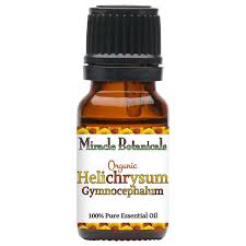 Image result for Helichrysum geminatum