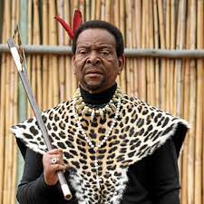 King misuzulu kazwelithini of zulu kingdom, south africa receives his brother prince masikwamahle zulu at kwakhangelamankengane royal palace for a courtesy visit. Bid To Stop Coronation Of Prince Misuzulu As Zulu King In Court