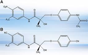 We did not find results for: Sarms Integratori O Doping Fif Federazione Italiana Fitness Riconosciuto Asi
