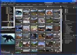 Acdsee Pro 7 скачать бесплатно русская версия с ключом Acdsee Pro V4 0 237 Russkaya Versiya Skachat Besplatno Programmy Dlya Windows 7 I 10