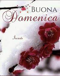 Visualizza altre idee su buona domenica, domenica, buongiorno. Buona Domenica Invernale Neve Freddo Buona Domenica Domenica Immagini