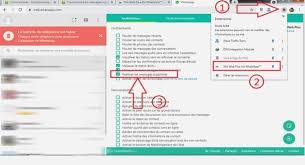 Image result for Vernonia gerberiformis