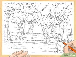 Learn sketching online at your own pace. 3 Ways To Draw A Forest Wikihow