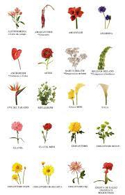 10 Kinds Of Flowers You Can Easily Offer Your Other Half On Her Birthday Party Types Of Flowers Flowers Flower Names