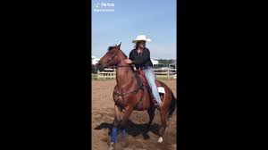 Happy Llama Angry Llama Dancing Llama Tiktok Compilation Youtube