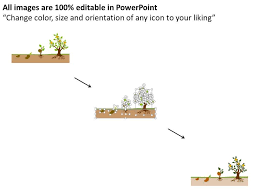 Oy Seed To Plant Growth Indication Chart Flat Powerpoint