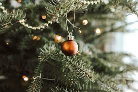 See decorated christmas tree stock video clips. 1000 Christmas Tree Pictures Download Free Images On Unsplash