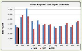We did not find results for: Uk Import Of Cut Flowers From Kenya And Colombia Up Netherlands Down