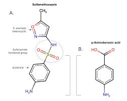 Image result for Sulfonamide