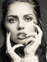 Stock Image Search Results