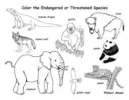 Endangered Animals Pictures And Names Http Www Petandanimals Com Endangered Ani Endangered Animals Endangered Animals Activities Endangered Animals Project