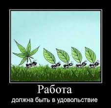 скачать видео дорогой где ты был в хорошем качестве Kartinki Prikoly S Nadpisyami Pro Rabotu Shutki O Mamah Smeshnye Citaty Pro Mamu Rabochie Prikoly