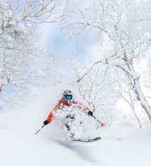 Holiday Sale Holiday Holiday Sales Holiday Deals