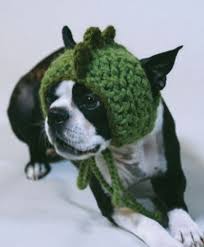 Mützen sind nicht nur eine kopfbedeckung, sie haben sich zum hingucker bei frau und mann etabliert. Hakeln Nahen Fur Den Hund Fashion For Dogs Amazon De Anne Burton Bucher