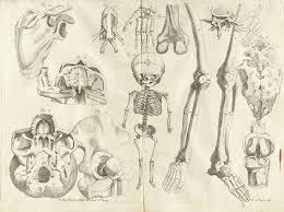 In interpretive point of anatomy of the human body henry gray contents i. Bones Anatomy Drawing Workshop Workshop Events Calendar Of Events Calendar Of In Winnipeg Go204 Ca