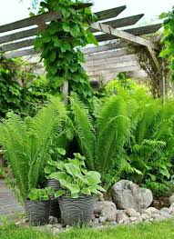20 Classy Minimalist Hippie Jardines Decoracion Hogar Casas De Campo