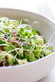Pin On Recipes Vegetarian Vegan