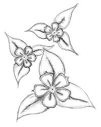 20 New For Flower Simple Easy Pencil Drawings For Beginners The Japingape • you may then shade the flower with the same pencil or use a different type of colors like.