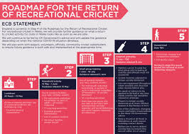 Crickets are not poisonous and do not harm people, feeding mostly on decaying vegetation. Return To Recreational Cricket