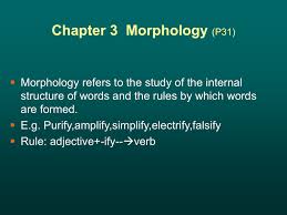 Check spelling or type a new query. Open Class Word And Closed Class Word