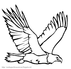 Kami berbagi mewarnai gambar burung yang bisa anda aplikasikan sebagai. Aneka Gambar Mewarnai Gambar Mewarnai Burung Elang Untuk Anak Paud Dan Tk Burung Elang Elang Gambar Burung